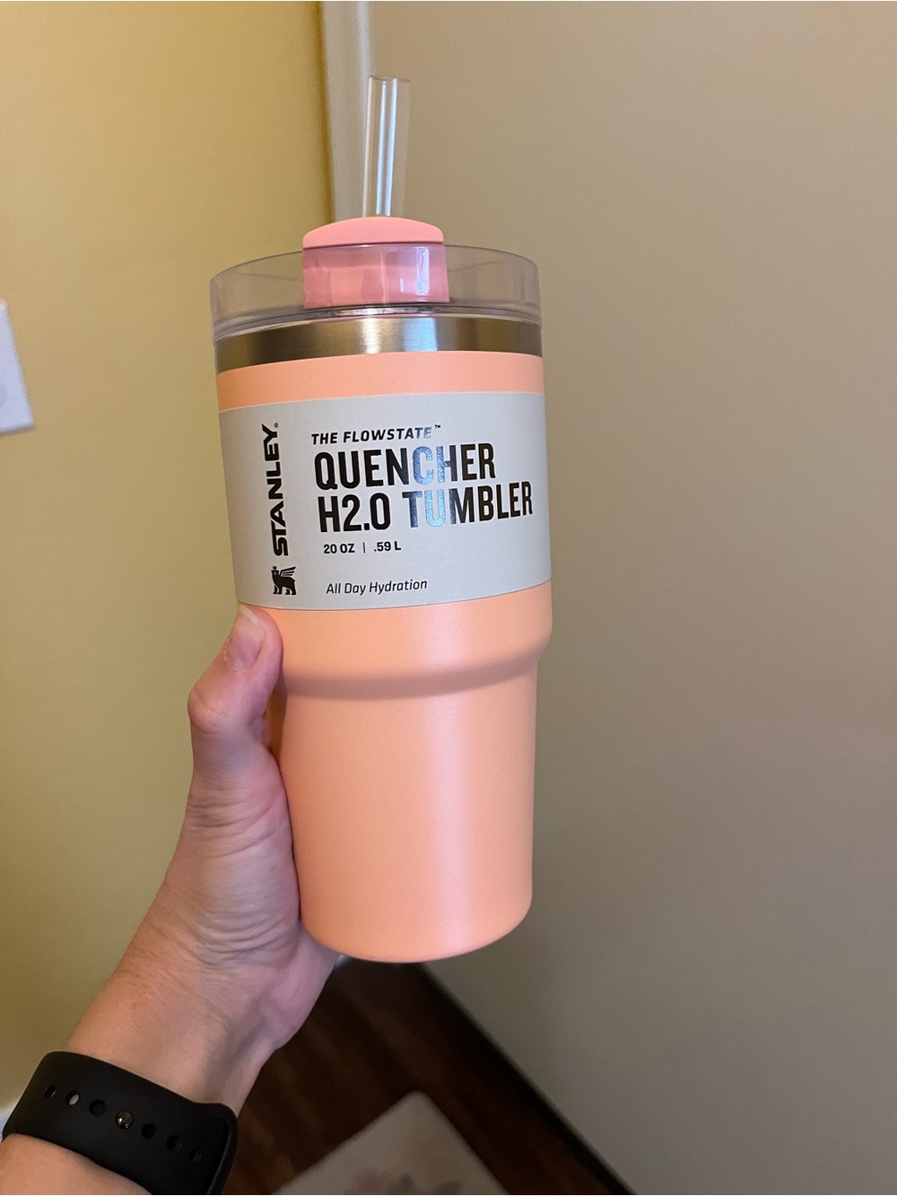 Stanley Peach Quencher H2.0 Tumbler with Straw